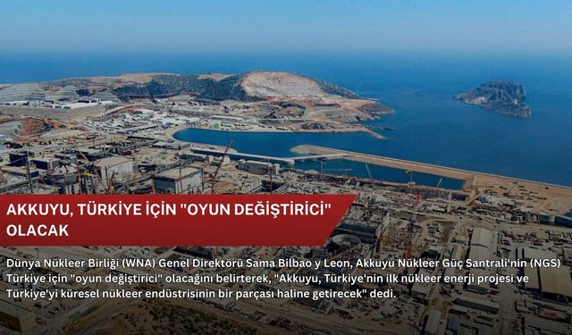 Akkuyu, Türkiye için "oyun değiştirici" olacak