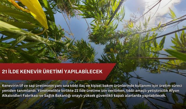 21 ilde kenevir üretimi yapılabilecek