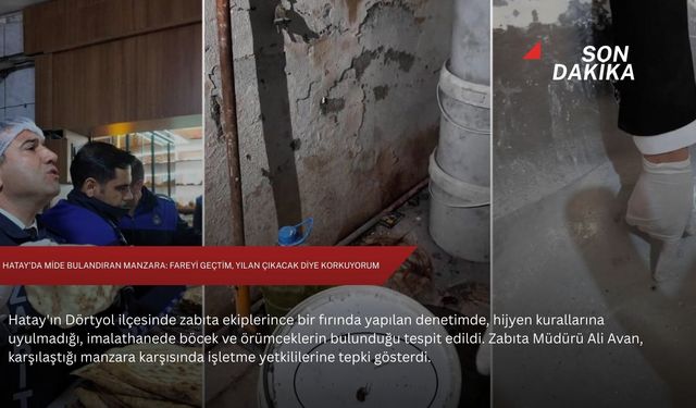 Hatay'da mide bulandıran manzara: Fareyi geçtim, yılan çıkacak diye korkuyorum