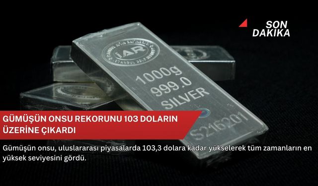 Gümüşün onsu rekorunu 103 doların üzerine çıkardı