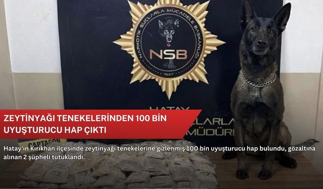 Zeytinyağı tenekelerinden 100 bin uyuşturucu hap çıktı