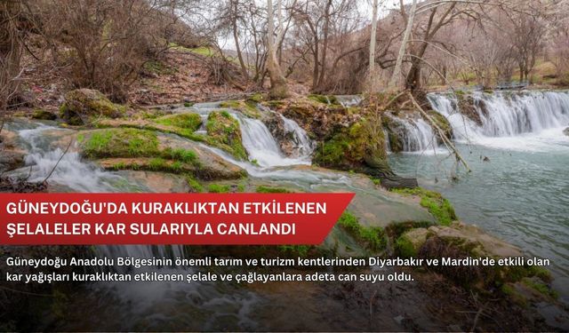 Güneydoğu'da kuraklıktan etkilenen şelaleler kar sularıyla canlandı