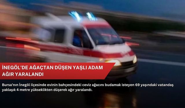 İnegöl’de ağaçtan düşen yaşlı adam ağır yaralandı