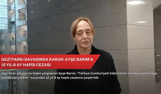 Gezi parkı davasında karar: Ayşe Barım'a 12 yıl 6 ay hapis cezası
