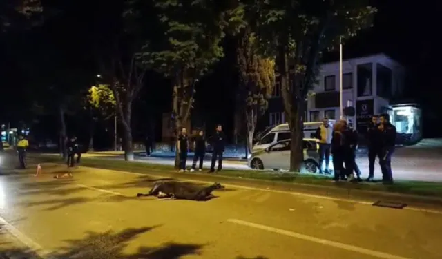Kaderin Acı Cilvesi: İki Kardeş, İki Motosiklet, Aynı Son!