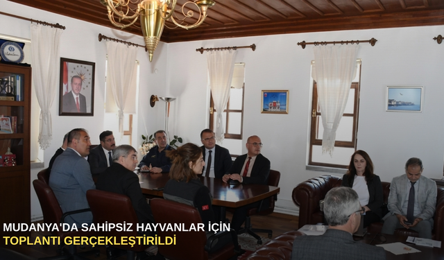 Mudanya'da sahipsiz hayvanlar için toplantı gerçekleştirildi