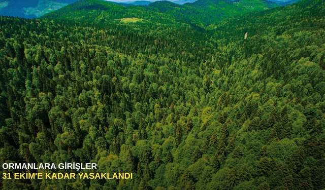 Ormanlara girişler 31 Ekim'e kadar yasaklandı