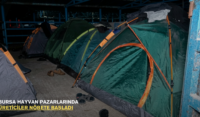 Bursa hayvan pazarlarında üreticiler nöbete başladı