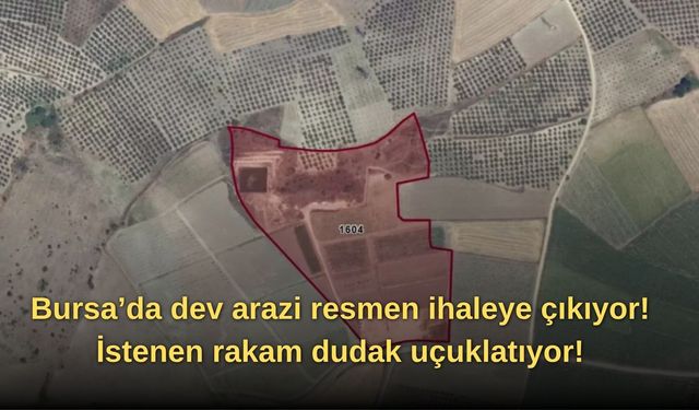 Bursa’da dev arazi resmen ihaleye çıkıyor! İstenen rakam dudak uçuklatıyor!