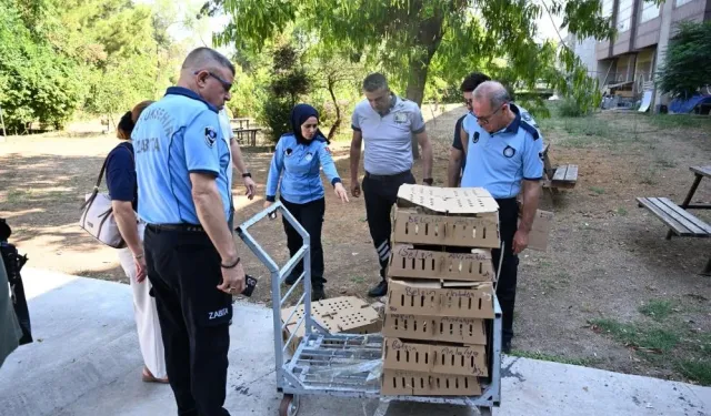 Bursa’dan Antalya’ya usulsüz civciv sevkiyatı