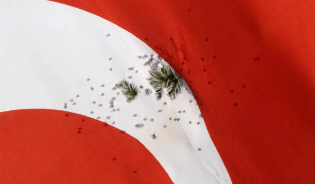 Türk Bayrağına av tüfeğiyle ateş etti