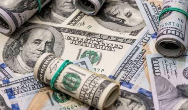 Dolar kaç TL oldu? 1 Eylül  2026 Salı güncel döviz kurları...