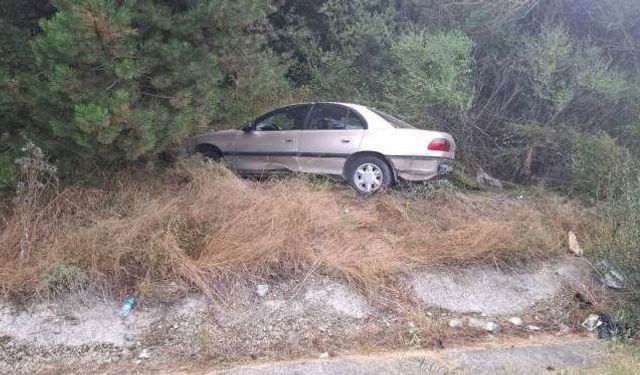 Otomobil ağaca çarptı, 2'si çocuk 4 kişi yaralandı