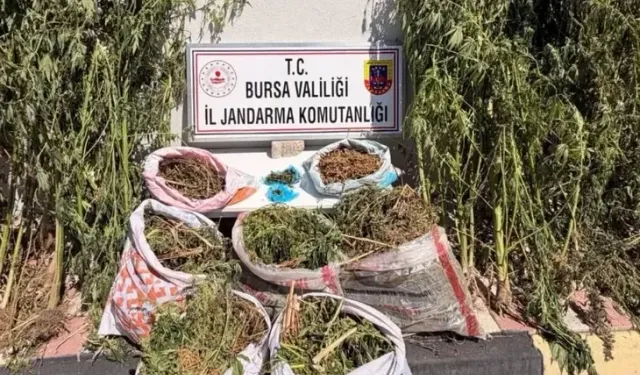 Bursa'da evlerinde tonla uyuşturucu yakalandı
