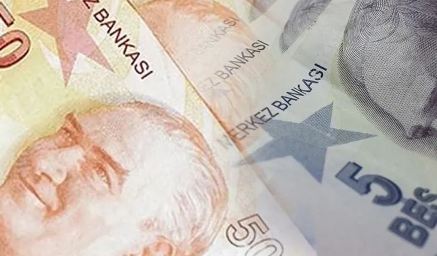 5 ve 50 TL'lik yeni banknotlar piyasada