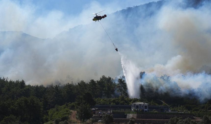 İzmir, Manisa ve Bilecik'teki yangınlar tamamen kontrol altında