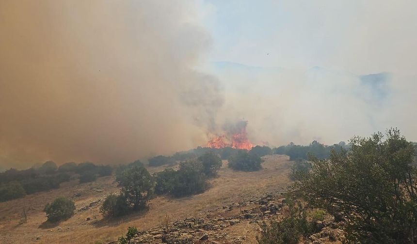 Balıkesir'de orman yangını