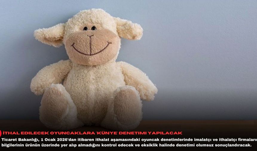 İthal edilecek oyuncaklara 'künye' denetimi yapılacak