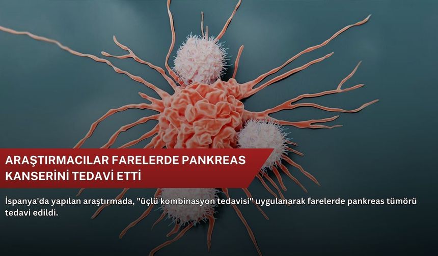 Türkiye'nin ilk yerli ve milli gen tedavisi için tarihi adım