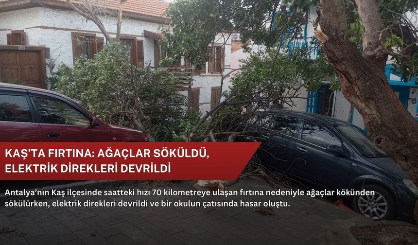 Kaş’ta fırtına: Ağaçlar söküldü, elektrik direkleri devrildi