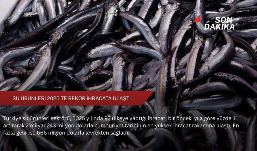 Su ürünleri 2025'te rekor ihracata ulaştı