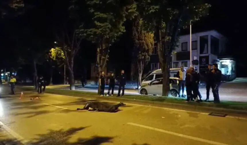Kaderin Acı Cilvesi: İki Kardeş, İki Motosiklet, Aynı Son!