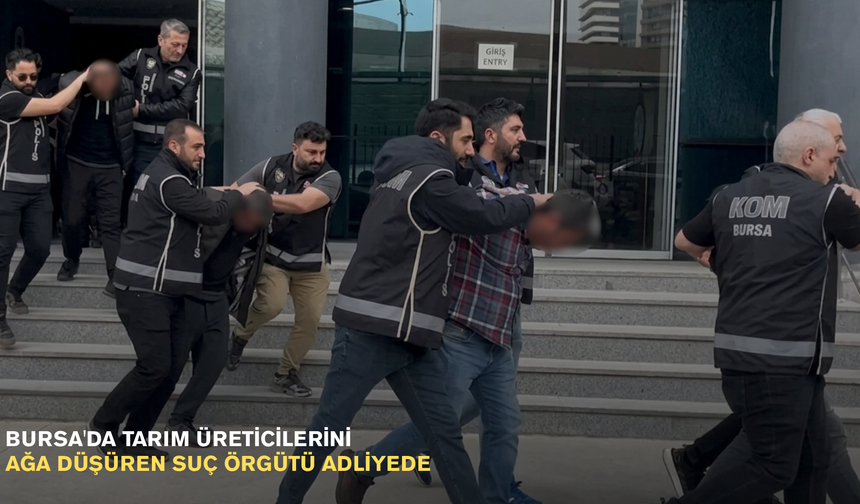 Bursa'da tarım üreticilerini ağa düşüren suç örgütü adliyede