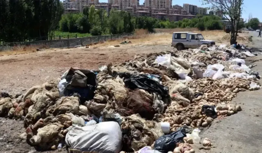 BUSKİ’den Bayram Öncesi Alarm Veren Uyarı: “Kurban Atıklarını Gelişi Güzel Atmayın!”