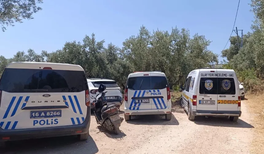 Bursa'da zeytinlikte ölü bulunan gencin kimliği belirlendi