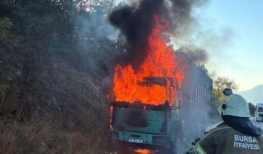 Bursa'da talaş yüklü tır alev topuna döndü!