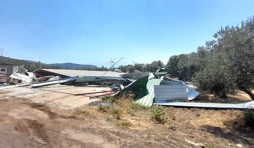 Bursa Osmangazi’de kaçak yapıya geçit yok! Zeytinlikteki depo yıkıldı