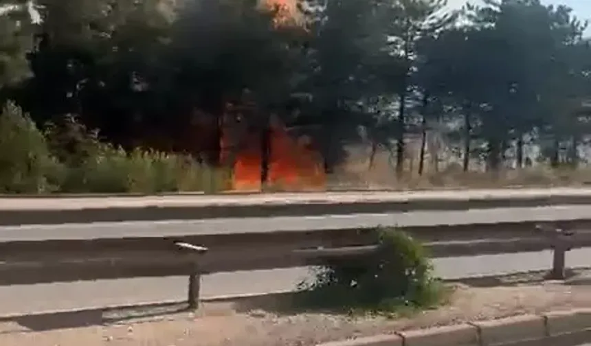 Bursa'nın iki farklı yerinden yangın alarmı