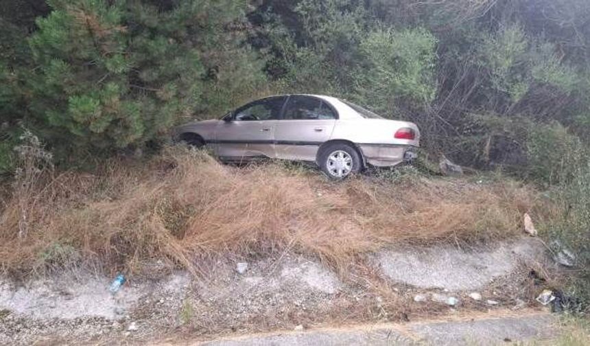 Otomobil ağaca çarptı, 2'si çocuk 4 kişi yaralandı