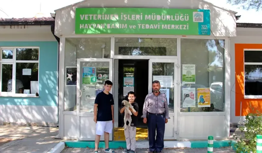 Nilüfer Belediyesi'nden Dünya Köpek Günü'nde anlamlı sahiplendirme çağrısı