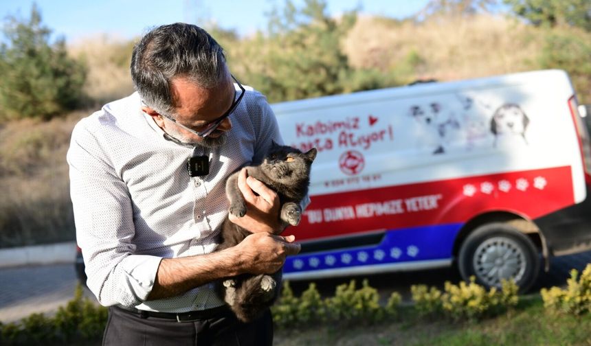 "Sahiplen Kestel" Platformu Hizmette Geçti