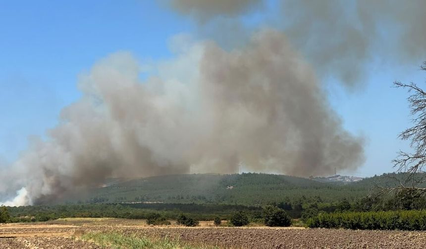 Bursa’da yangın alarmı! Mudanya’daki alevler kontrol altına alındı