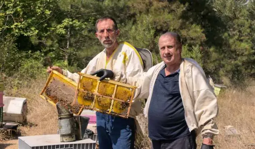 Uludağ eteklerinde yarım asırlık emek