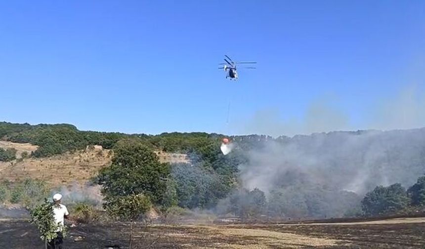 İznik'te orman yangını! Alevlere havadan ve karadan müdahale ediliyor