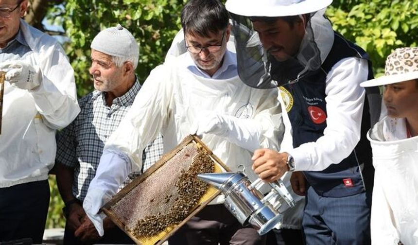 Bursa’da bal hasadı heyecanı başladı