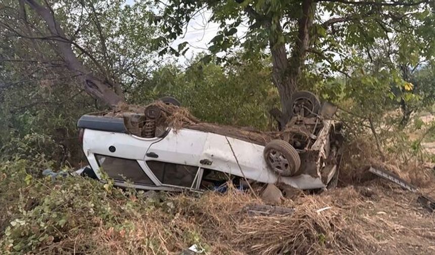 Bursa'da tarım işçilerini taşıyan araç ağaca çarptı
