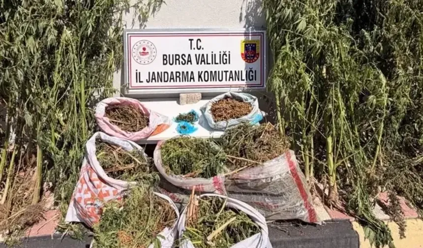 Bursa'da evlerinde tonla uyuşturucu yakalandı