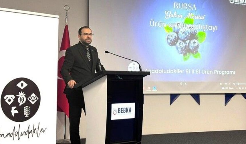 Bursa’da yaban mersini üretiminin ekonomik değeri artırılacak