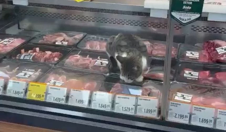 Bursa’da Migros’un et reyonunda dikkat çeken görüntü! 1.899 TL’lik kuzu pirzolayı yedi